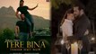 Salman Khan shares his new song Tere Bina teaser & wishes Happy Mother's Day | FilmiBeat