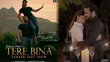 Salman Khan shares his new song Tere Bina teaser & wishes Happy Mother's Day | FilmiBeat