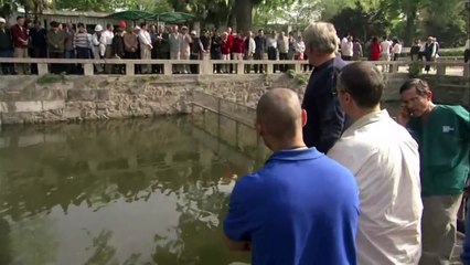 Last Living Pair   The Loneliest Animals on NATURE   PBS