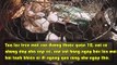 Có một xóm giết mổ động vật nằm giữa lòng Sài Gòn