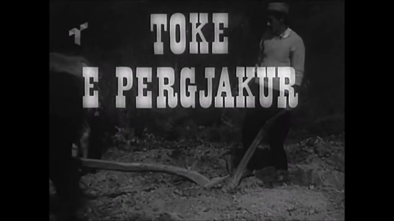 Toke e pergjakur HD video Dailymotion