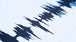 Low-intensity earthquake hits Delhi-NCR