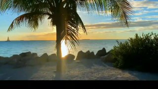Nature video, amazing video, awesome music  हद 1080P