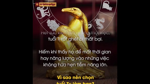 Vì sao nên chọn Người tuổi Tỵ làm bạn