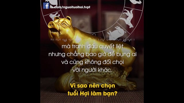 Vì sao nên chọn Người tuổi Hợi làm bạn