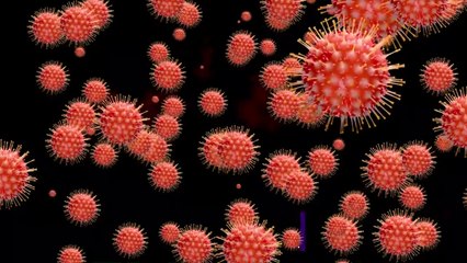 Coronavirus: Things you Must Know about COVID-19