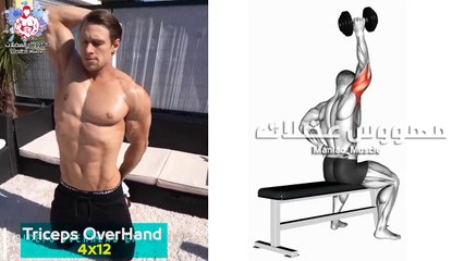 تمارين الترايسبس بدون معدات وفي المنزل  Triceps Exercises at Home