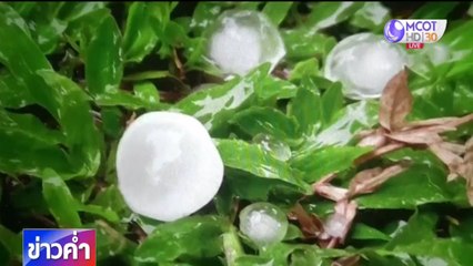 ข่าวค่ำ ช่วงที่ 2 วันอาทิตย์ที่ 10 พฤษภาคม 2563