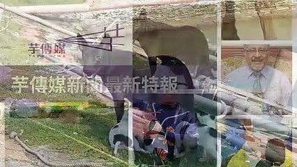 taronews.tw-copy2-20200510-22:38