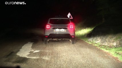 Animales que disfrutan el confinamiento humano