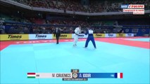 Parcours d'Alexandre Iddir (-100kg) - ChM judo 2019