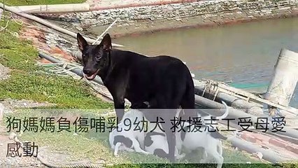 taronews.tw-copy3-20200511-00:39