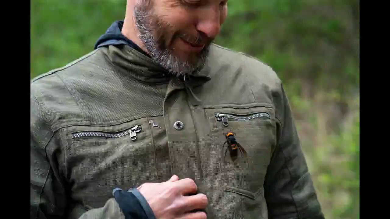 Murder Hornets in U.S || Trouble For USA || Killer Bees Attack ||