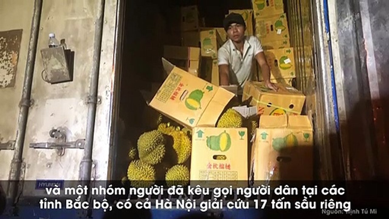 Thực hư việc kêu gọi giải cứu 17 tấn sầu riêng xuất khẩu bị trả lại vì điều hòa hỏng