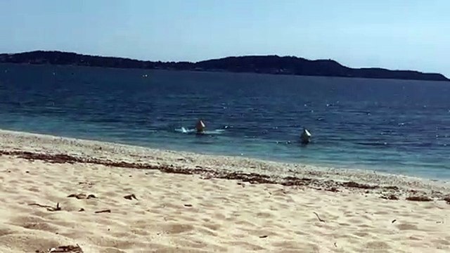 Ils trouvent un moyen de se baigner en toute discrétion