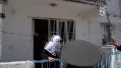 126 yaşındaki asırlık çınara Anneler Günü sürprizi