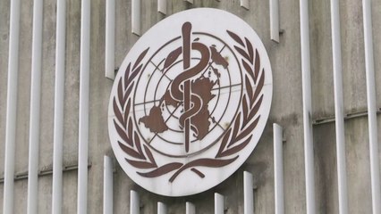 "팬데믹 연기 요청" 시진핑 직접 전화...WHO "사실과 달라" / YTN