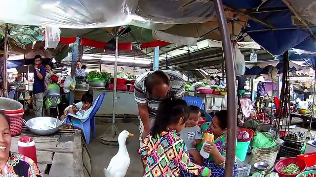 theo chủ khiến cư dân mạng vô cùng thích thú