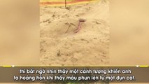 Kinh hãi cảnh tượng bãi cát phun ra máu tại bãi biển nổi tiếng nước Úc