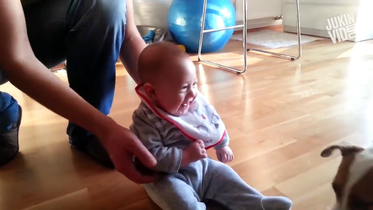 Cute Babies and Dogs