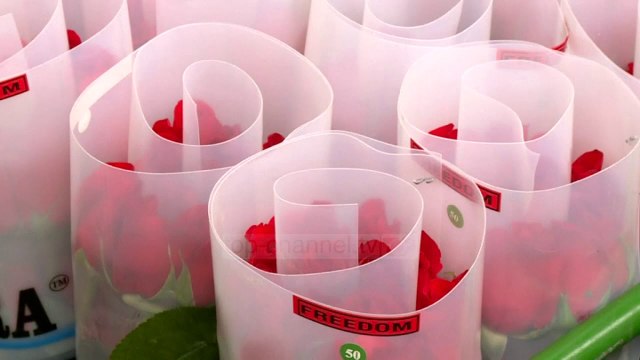 Top News - Kolumbi, fushata/ 25.000 buqeta për ditën e nënës - Pa koment