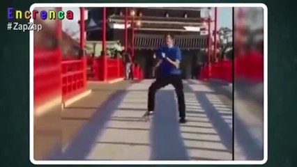 Zap zap os videos mais engraçados da internet estão aqui