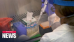 U.S. FDA approves first antigen test kit for COVID-19