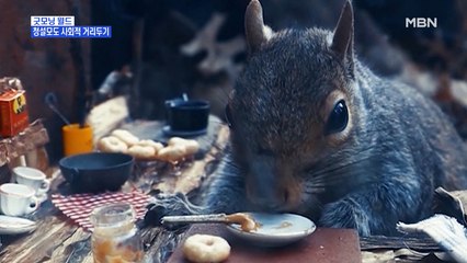 [굿모닝월드] 청설모도 사회적 거리두기