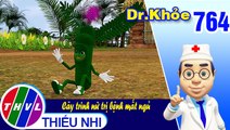 Dr. Khỏe - Tập 764: Cây trinh nữ trị bệnh mất ngủ