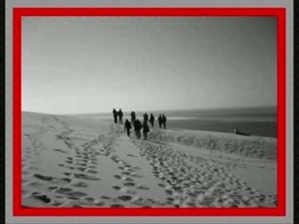 VideO sOrtie Dune