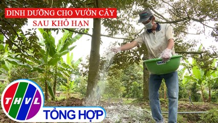 Nông nghiệp bền vững: Dinh dưỡng cho vườn cây sau khô hạn