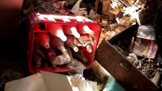 Exploring Abandoned House - EVERYTHING Left Behind! Owners Bred Dogs For Dog Fighting!