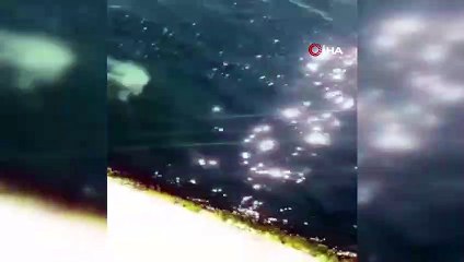 Yunusların denizde gösteri şöleni renkli anlar sahne oldu