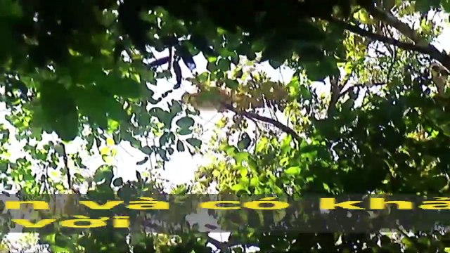 Cứ tưởng chỉ tồn tại trong cổ tích, hóa ra những sinh vật thần bí này lại có thật trên đời