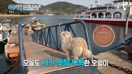 오늘도 시간에 맞춰 항구에 도착한 오월이!