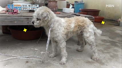 묵은 때를 벗겨내고 되찾은 미모!