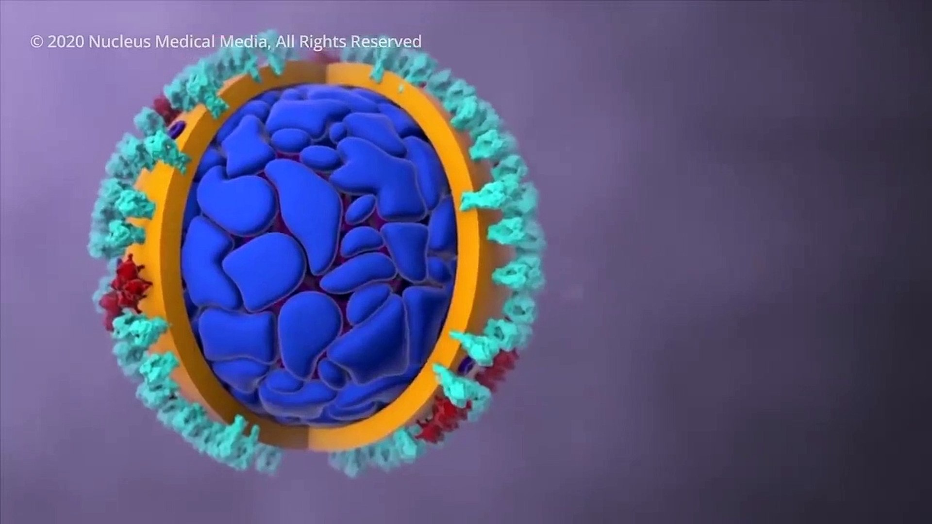 Judy Mikovits, PhD Exposes Dr. Anthony Fauci For Contradicting Statements On Hydroxychloroquine