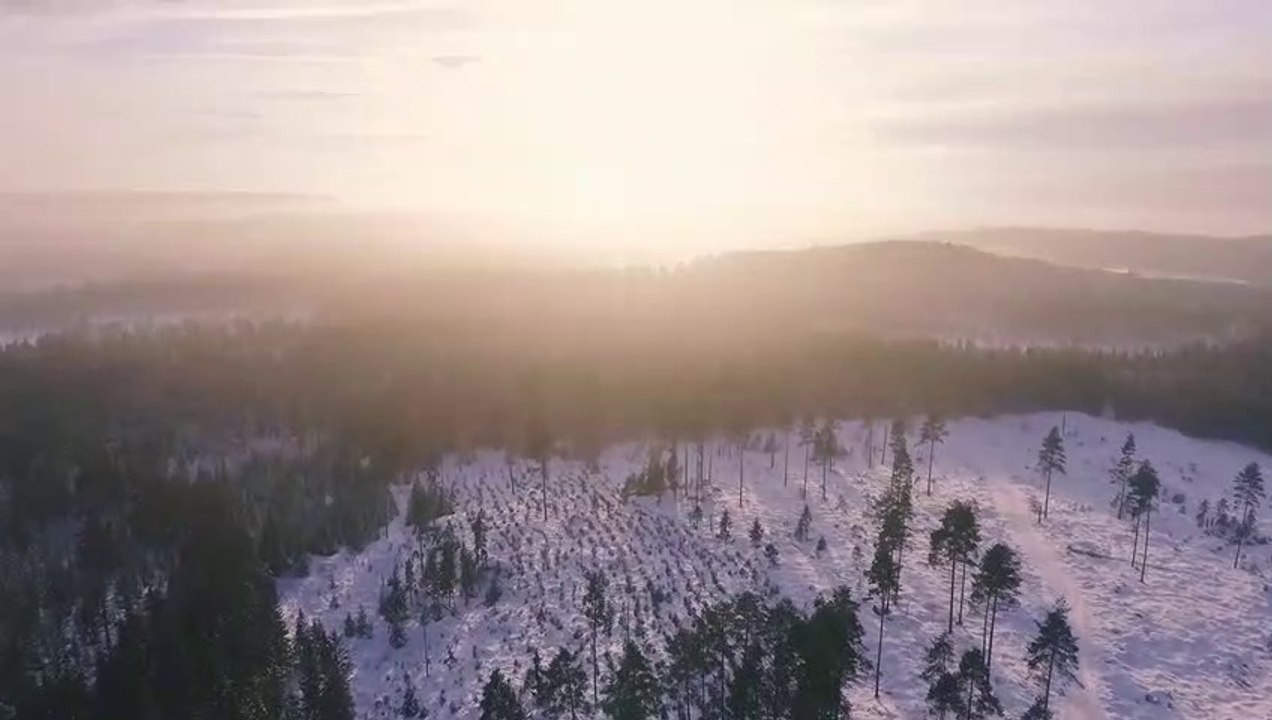 Relaxation Music: Sleep Music, Water Sounds, Bird Sounds, Mediation Music Vol. 1 By Ramil Raphael