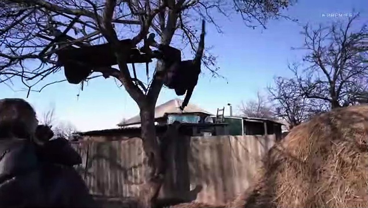 Холостяк (7 сезон: 11 выпуск) [2020]