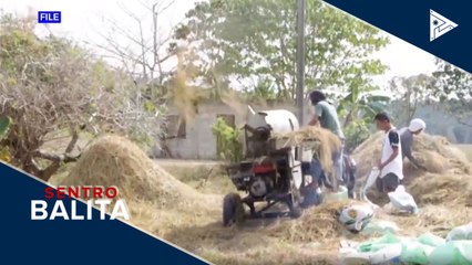 DA: Export shipments, pumalo sa $1.30-B sa Q1 ng 2020