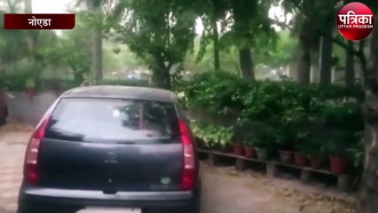 Noida में धूलभरी आंधी के बाद तेज बारिश