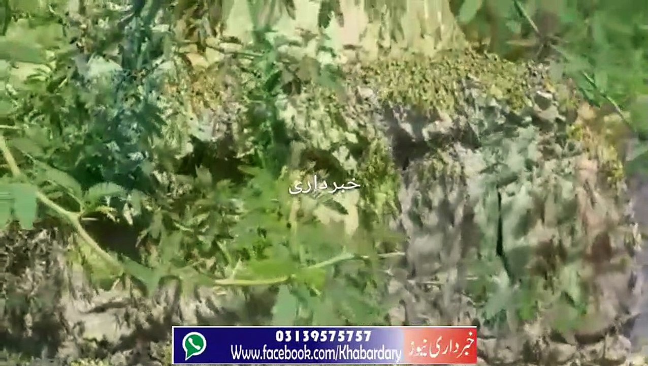 Janobi Wazeristan ma Taddidil ne Tabahi Macha di, Mulk Bhar ma Pailne ka Khatra.