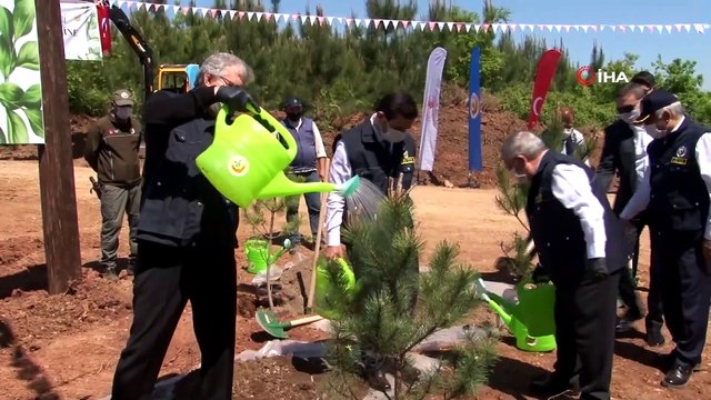 Türkiye’de 100 Yaşını Aşmış Anneler İçin Hatıra Ormanı Oluşturuldu