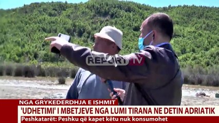 Download Video: Report Tv- Ishëm, mbetjet mbushin rrjetat e peshkatarëve: Situata është e rëndë