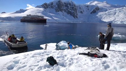 Top News - Në Antarktidën e ngrirë/ Ku koronavirusi nuk ka arritur ende