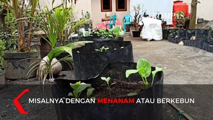 Usir Penat dengan Aktivitas Menanam dan Berkebun di Rumah