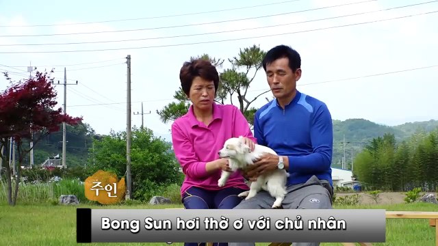 Cô chó nhỏ làm thay đổi số phận người đàn ông bị ung thư thời kỳ cuối