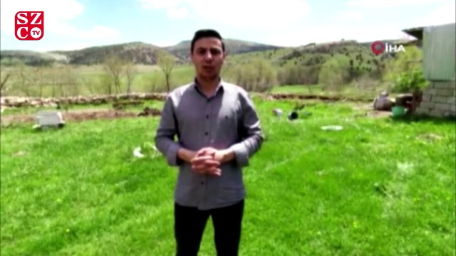 Vahşi vaşağı ‘pisi pisi’ diye çağırdı