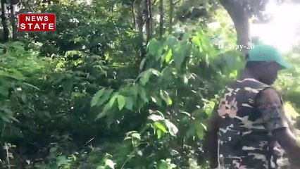 Viral Video: दुनिया का ऐसा युवक जो करता है पक्षियों से बात