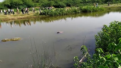 झांसी: नदी में तैरता हुआ मिला अज्ञात युवक का शव